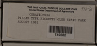 Image Associated With the Occurence
